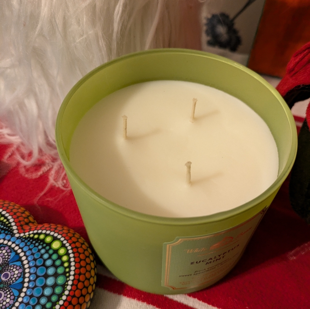 White Barn Eucalyptus Mint 3-Wick Candle - NEW 14.5oz - Picture 4 of 4